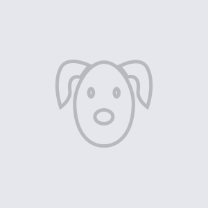 test dog