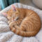 Biscuit Meowfluff