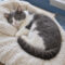 Mittens Tinyclaws