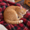 Snickerdoodle Whiskerbee