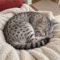 Tigger Snugglepads