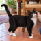 Tuxedo McPurrsalot