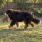 Winston Wiggleworth